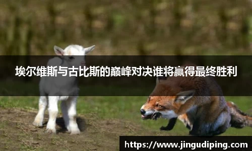 bsports必一体育